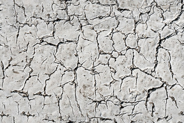 cracked earth texture. texture of cracked plaster.