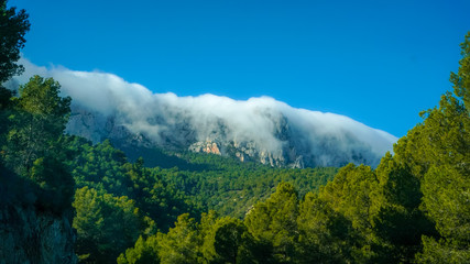guadales 13