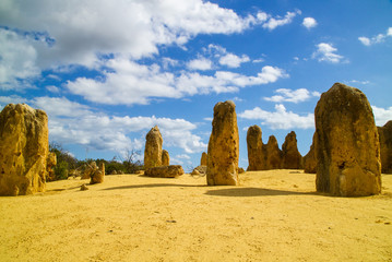 Pinnacles standing tall in Australia 
