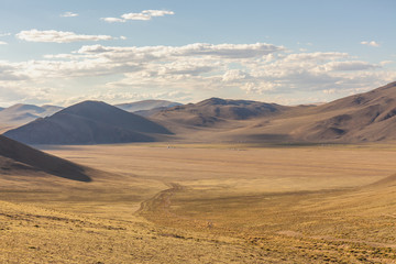 Fototapeta na wymiar Little village of nomadic Yurt camp in the Mongolian Steppe.