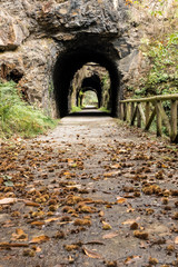 Fototapeta na wymiar Tunnel in the Bear trekking way in autumn. Teverga, Asturias, Spain.
