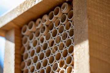 Mason Bee House, with Used Tubes