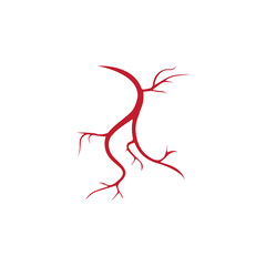 human veins, red blood vessels design and arteries Vector illustration isolated