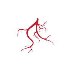 human veins, red blood vessels design and arteries Vector illustration isolated