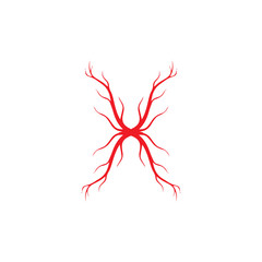 human veins, red blood vessels design and arteries Vector illustration isolated
