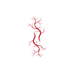 human veins, red blood vessels design and arteries Vector illustration isolated