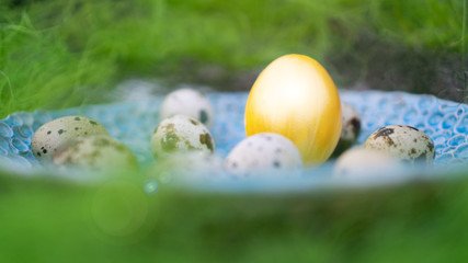 Yellow shiny chicken egg in between the quail eggs on blue plate. Original background. Easter theme. 