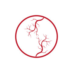 human veins, red blood vessels design and arteries Vector illustration isolated