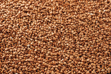 Background of buckwheat, close-up, perspective.