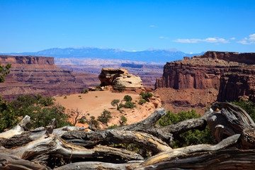 Utah / USA - August 11, 2015: Island In The Sky Canyolands National Park landscape, Utah, USA