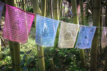 tibetan prayers in the woods, on the background there are some plants of bamboo