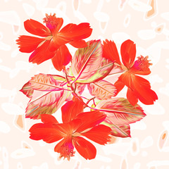 Fototapeta na wymiar Floral background wiht leaves.