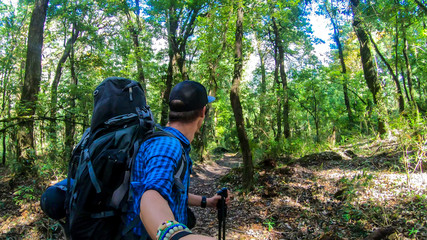 Naklejka premium A man with a big black backpack hikes along a pathway in a forest on Annapurna Circuit Trek in Himalayas, Nepal, while taking a selfie. Dense trees. Exploration and adventure