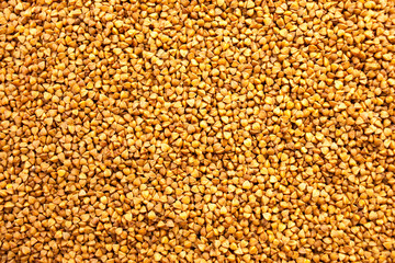 Buckwheat background. Closeup.