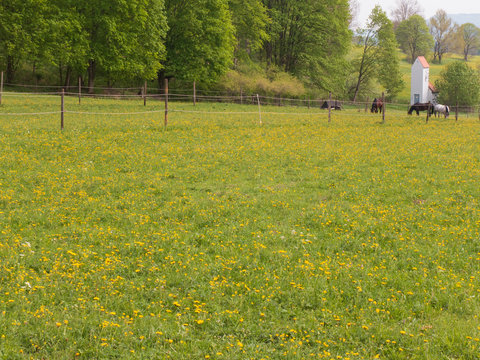 OnstmettingenBilder StockFotos & Videos. Adobe Stock