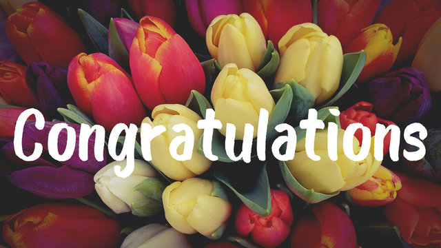 53 BEST &quot;Congratulations Word&quot; IMAGES, STOCK PHOTOS &amp; VECTORS | Adobe Stock