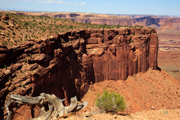 Utah / USA - August 11, 2015: Island In The Sky Canyolands National Park landscape, Utah, USA