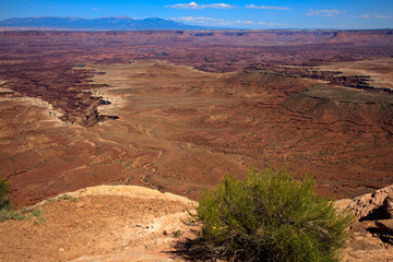 Utah / USA - August 11, 2015: Island In The Sky Canyolands National Park landscape, Utah, USA