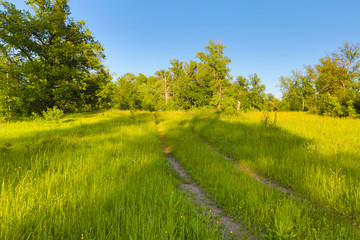 country road in a meadow in the evening in the rays of a sunset