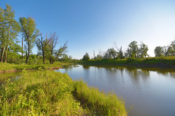 lake and its shores with bushes and trees in the afternoon on a sunny day