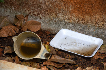 plastic bowl abandoned in a vase with stagnant water inside. close up view. mosquitoes in potential...