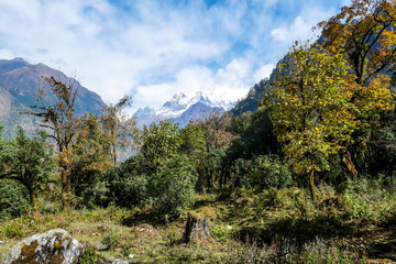 Fototapeta na wymiar View on Himalayas, Annapurna Circuit Trek, Nepal. The view is disturbed by dense tree crowns in the front. High, snow caped mountains peaks catching the sunbeams. Serenity and calmness. Barren slopes