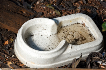 plastic bowl abandoned in a vase with stagnant water inside. close up view. mosquitoes in potential breeding ground.proliferation of aedes aegypti mosquitoes, dengue, chikungunya, zika virus