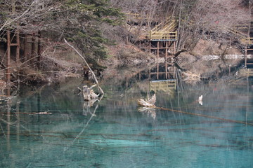 beautiful landscape of a lake in national park, Sichuan China with snow and reflection of the trees in the water