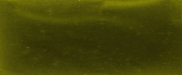 Solid green background with dark elegant border and rich deep colors with faint vintage texture and light center with blank space