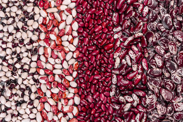Several types of multicolored beans lay in the form of vertical stripes