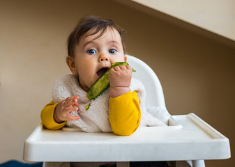 Healthy cute caucasian baby boy have, eat vegan raw supplementary food at home in his highchair....