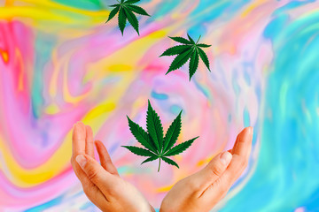 marijuana leaves fly down and fall into women's hands on apsychodelic multicolored blurred background