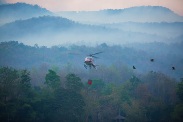 Fototapeta premium The helicopter is drawing water from the reservoir and will be watered to extinguish the burning forest in the mountains.