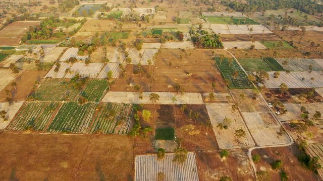 La campagne aride en gros plan dans le domaine des temples de Angkor autour de Siem Reap, au Cambodge