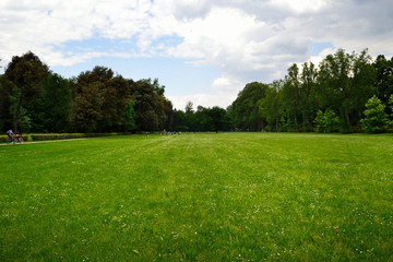 Firenze, Le Cascine park. A wide green meadow surrounded by trees