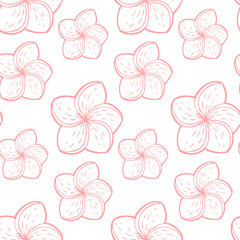 Hand drawn abstract seamless pattern with plumeria flowers. Exotic tropical frangipani flower isolated on a white background. Cute template for cards, fabric, wrapping paper. Vector illustration