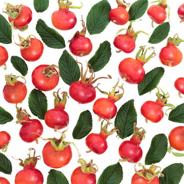 Rosehip berry fruit immune boosting food forming an abstract background. Very high in vitamin c, lycopene, anthocyanins & antioxidants. Rosa Rugosa.
