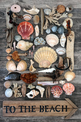 Holiday concept with seashell, driftwood, seaweed & pebble abstract background on rustic wood with old wooden to the beach sign.  