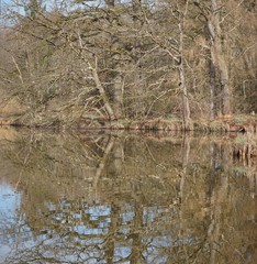 Moorsee in der Eulenau