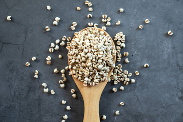 white Job's tears ( Adlay millet or pearl millet ) in wooden spoon on dark cement background, top...