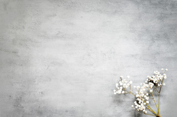 White flowers bouquet on pastel gray background. Flat lay.