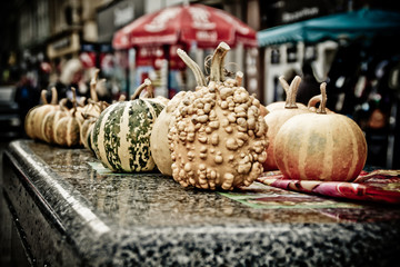 city pumpkin festival in autumn in the country