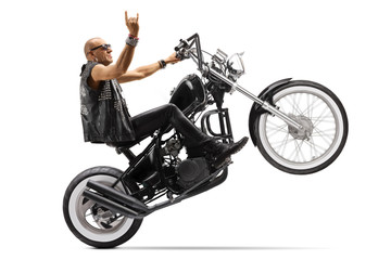 Fototapeta na wymiar Hardcore biker riding a chopper on one wheel and gesturing rock and roll sign