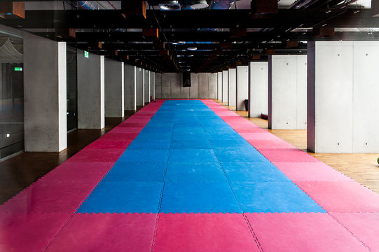 Gymnasium for martial arts training with tatami mat