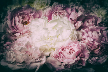 Vintages Bild des Pfingstrosenblumenstraußes © jbphotographylt