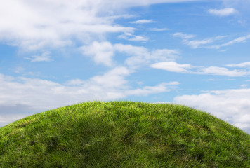 Gras Weide mit wolkigem Hintergrund