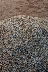 Desert Landscape with Flowering Cactus Plants