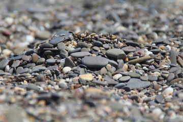 sea pebbles on the coast of Crimea