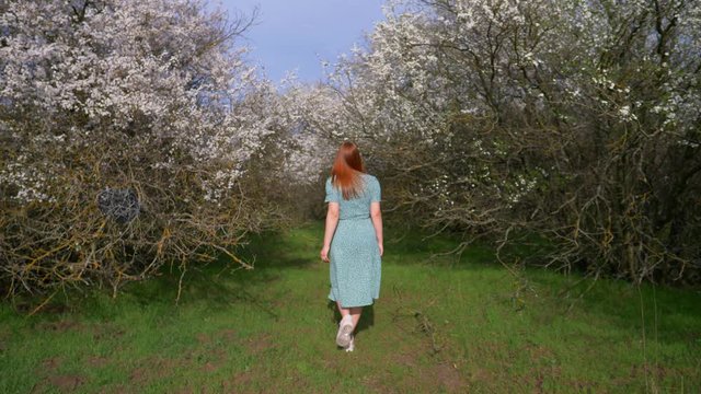 girl walking in spring garden in bloom, beautiful red-haired young woman in spring cherry-tree garden in slow motion, spring concept, youth concept