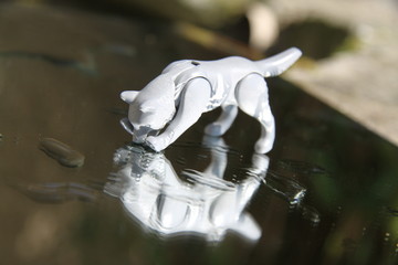 Grey wolf plastic toy mirror reflection